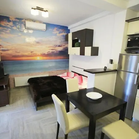 Gemuetliche Einzimmerwohnung Kristijan By Interhome Novigrad Istria