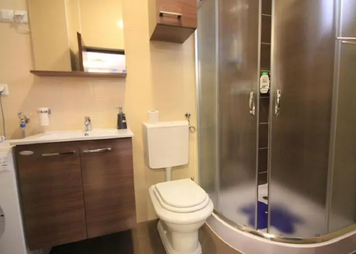 Gemuetliche Einzimmerwohnung Kristijan By Interhome Appartement
